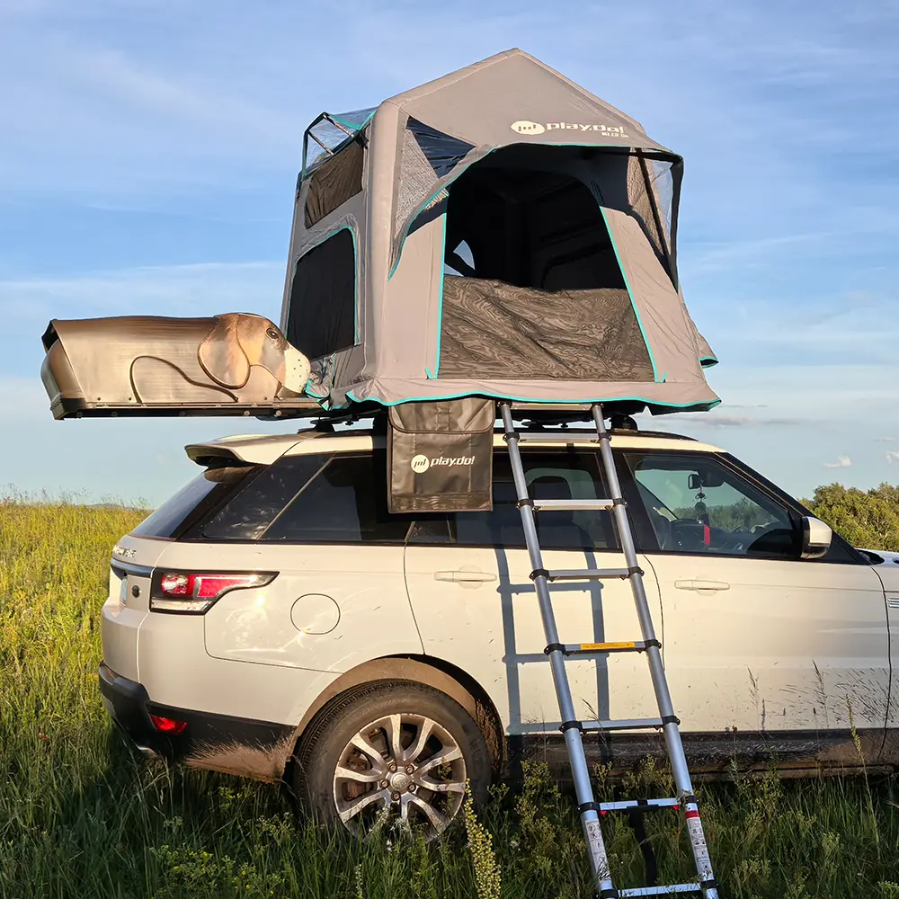 1000-ਮਾਈ ਬਵਲੇਵਡ ਡੌਗ ਆਟੋਮੈਟਿਕ ਮਾਡਲ ਮੁੱਖ ਚਿੱਤਰ-12.jpg