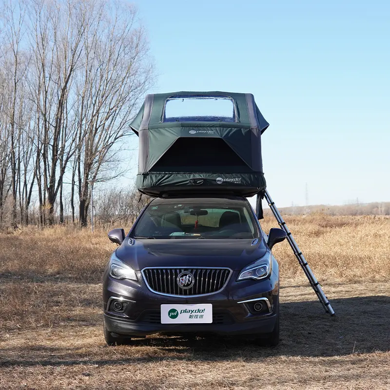 New Island of Fish Inflatable Rooftop Tent