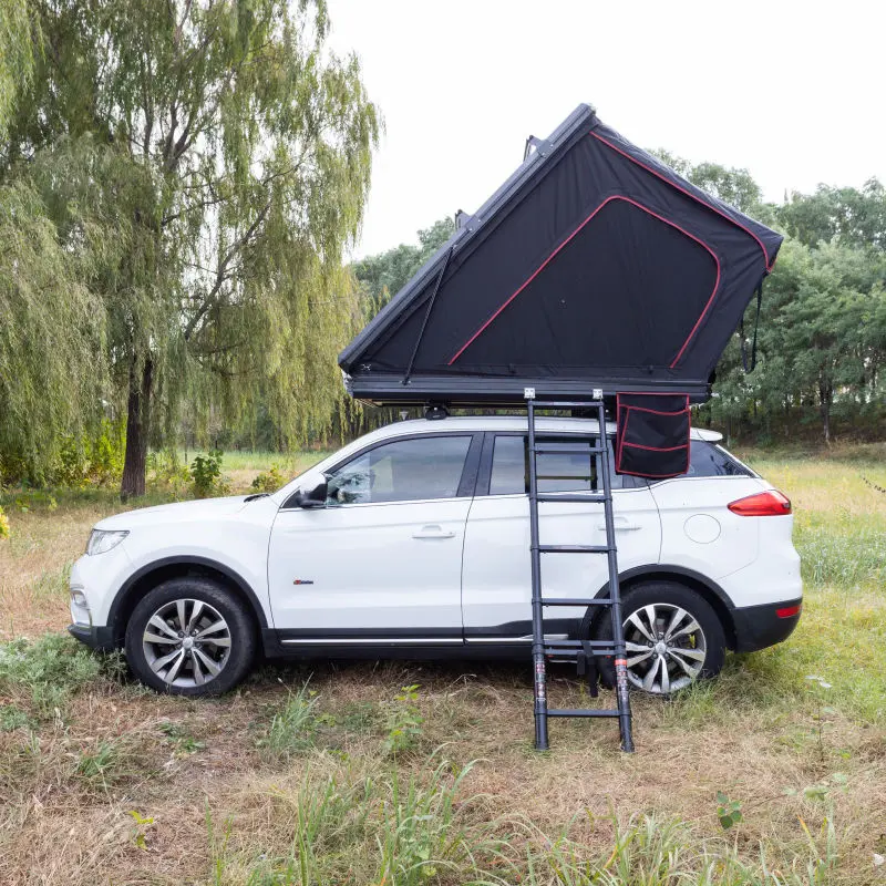 ꯐꯦꯛꯇꯔꯤ ꯑꯦꯂꯨꯃꯤꯅꯤꯌꯝ ꯇ꯭ꯔꯥꯏꯑꯦꯉ꯭ꯒꯜ ꯍꯥꯔꯗ ꯁꯦꯜ ꯔꯨꯐ ꯇꯞꯄꯒꯤ ꯇꯦꯟꯇ꯫