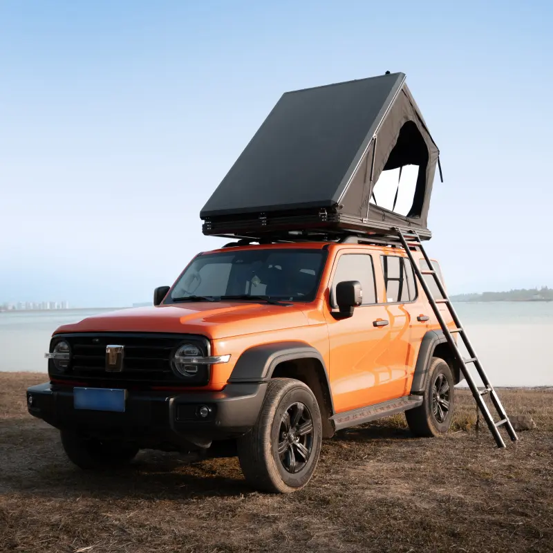 ꯗꯤ.ꯑꯦꯁ.ꯁꯤ._꯰꯴꯰꯰꯰ (꯲)꯳ꯏꯐ